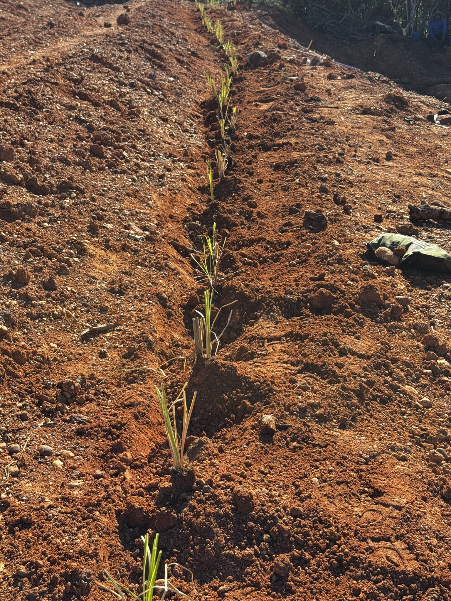 Cordão de contorno instalado em encosta